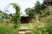/album/i-fiori-di-casa-acquarella/a7-img-8457-r-jpg/